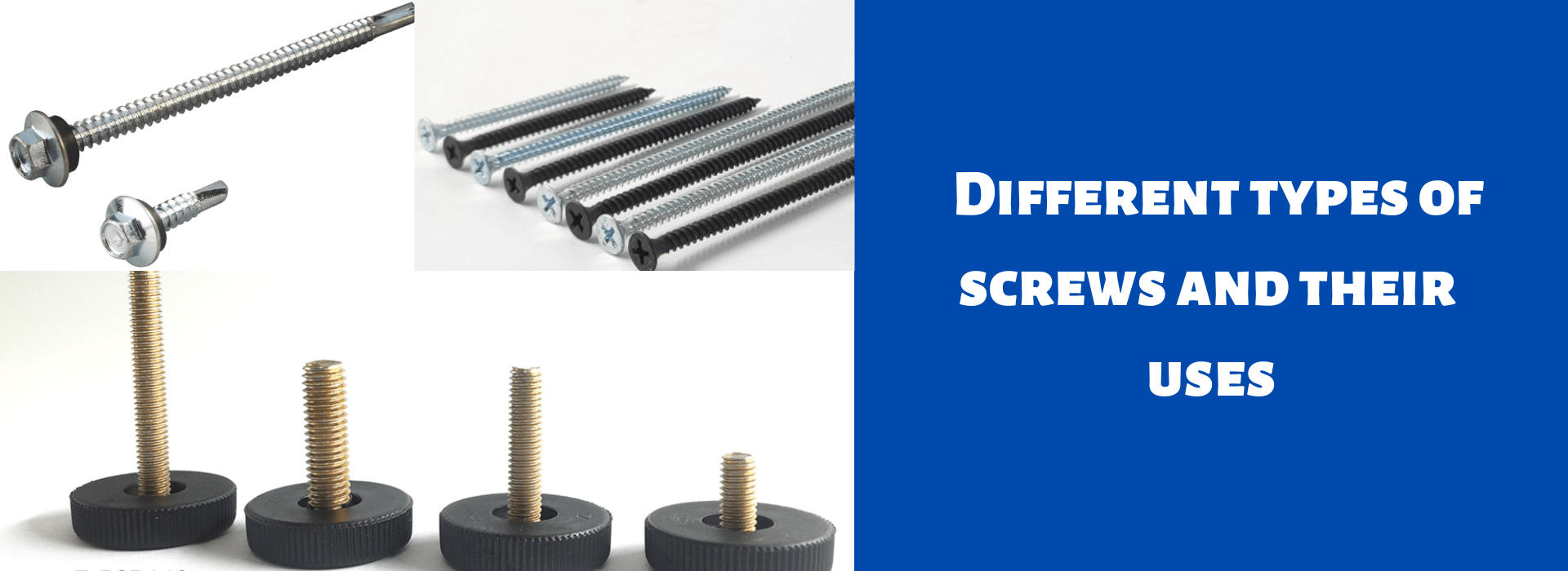 different-types-of-screws-and-their-uses-sia